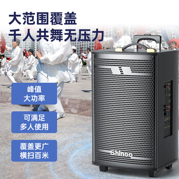 新科 （Shinco）T30 广场舞音响户外拉杆蓝牙音箱三喇叭重低音木质箱体家用K歌移动摆摊低音炮 8吋单咪