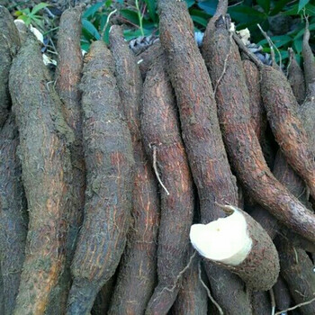 海南特产新鲜红皮白肉面包木薯1/3/5斤粗粮粉糯香甜番薯木薯糖水 新鲜