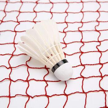 靓健羽毛球网便携式 标准网6.1m*76cm 2.5cm网眼四包边业余型 靓健羽毛球网便携式 标准网6.1m*76cm 2.5cm网眼四包边业余型