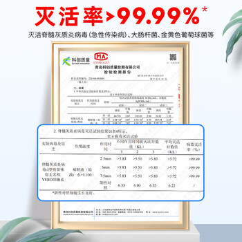 净佰俐84消毒液2KG居家消毒水消毒剂杀菌洁厕地板车间环境清洗家用八四