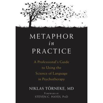 Metaphor in Practice: A Professional's Guide to