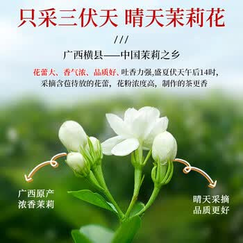 七春茉莉花茶龙珠茶叶特级自己喝茉莉绿茶毕业季送老师礼物礼品250g