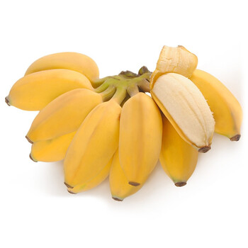 新鲜小米蕉 广西粉蕉 糯米蕉 新鲜香蕉水果 8斤装