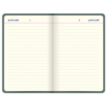 Filofax Letts联名英国记事本ICON图标定页办公学习笔记本一日一页自填日期A6中号绿色日记型内页本090138