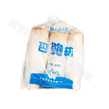 精品杏鲍菇1斤(500克)/袋单独包装 500g