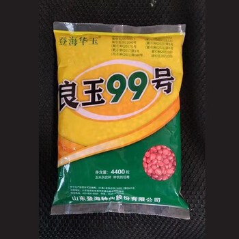 细辛良玉99玉米种登海良玉99号官方原装抗倒稳产玉米良玉99号新 良玉