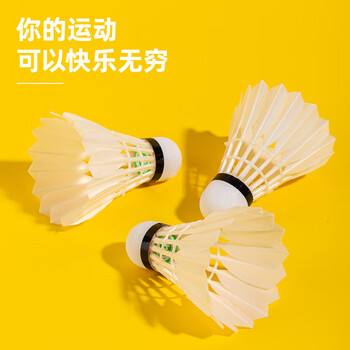 得力（deli）天然羽毛比赛耐打升级攻速训练鸭毛羽毛球 12只装