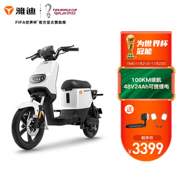 雅迪电动车DE1锂电时尚新国标代步车男女通用上班通勤电瓶车 基础靠背版星空白 48V24Ah锂电 长续航