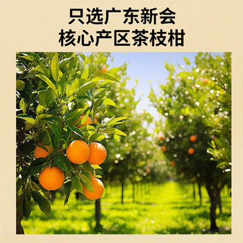 青源堂 老陈皮干茶陈皮块泡水花草茶养生茶礼品 陈皮柑香03（50克）