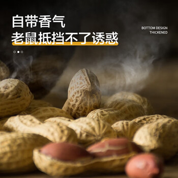 绿叶 粘鼠板40片装 餐厅酒店商用多用途耗子板捕鼠器灭鼠板 GL02113