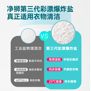 净狮（CLEALION）彩漂爆炸盐彩色白色去黄增白衣物去污渍家庭装活氧彩漂粉520g*2瓶