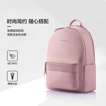 新秀丽（Samsonite）双肩包13英寸电脑包女士背包大学生书包简约时尚旅行包礼物TQ4
