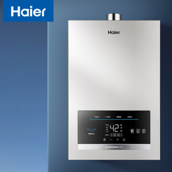 海尔（Haier）16升家用燃气热水器天然气 水气双调恒温 高楼层适用下置风机 JSQ31-16FX3U1