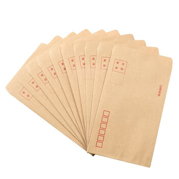 递乐 3号牛皮纸信封袋票据工资袋 邮局标准信封100个/包 4603