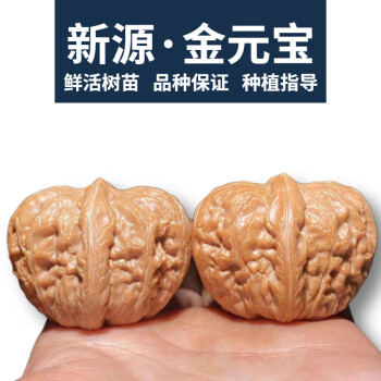 大粗筋狮子头价格报价行情- 京东