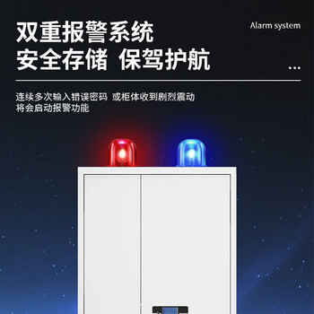 远奥保密柜办公室铁皮柜资料柜文件柜灰白色钢制密码锁通门档案凭证柜