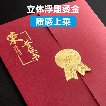 DSB（迪士比）A4欧式三折页荣誉证书 获奖证书颁奖证书奖状证书外壳 蓝色5本装【附10张内芯】050880