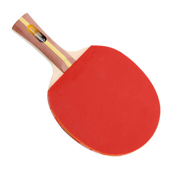 红双喜DHS 横拍 H2002双面反胶健身型乒乓拍附带拍套+乒乓球，单块装