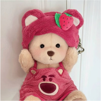 古仕龙熊公仔玩偶毛绒玩具换装小熊送女朋友圣 草莓熊仔套装(衣服