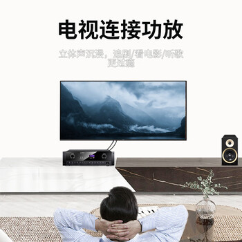 臻威（ZHENWEI）双莲花头音频线2RCA公对公 二对二红白AV音频信号线 DVD电脑电视接音响箱功放线0.5M
