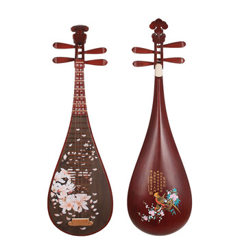 中国琵琶 音潮琵琶- 京东