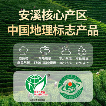 传奇会乌龙茶 安溪铁观音 清香型一级500g茶叶2026新茶礼盒装父亲节礼物 传奇会乌龙茶 安溪铁观音 清香型一级500g茶叶2026新茶礼盒装父亲节礼物