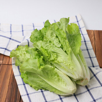 有机汇 有机意大生菜750g 新鲜有机蔬菜 农场现采 有机认证供港蔬菜