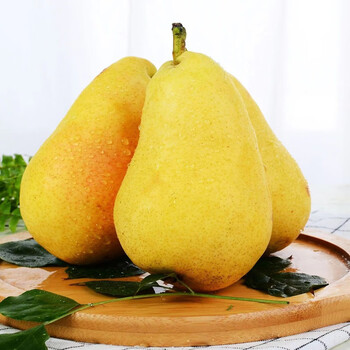 太婆梨山东新鲜水果老婆梨 9斤