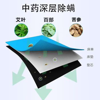 CHEIR 除螨包植物去除螨虫喷贴剂螨立净家用床上被子免洗除螨包10袋装 CHEIR 除螨包植物去除螨虫喷贴剂螨立净家用床上被子免洗除螨包10袋装