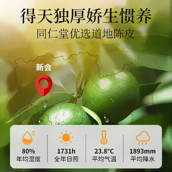 同仁堂（TRT）新会老陈皮广东原产正宗十陈化陈皮干块大红皮养生茶105g/罐