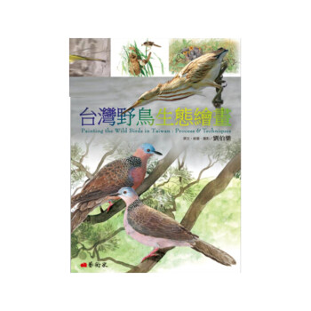 台版 台湾野鸟生态绘画 艺术欣赏画家专辑美术论丛绘画方法插画练习艺术设计