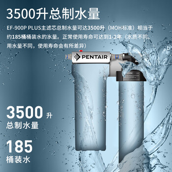 爱惠浦（Everpure） 家用矿物质厨下净水器 大流量0废水直饮 1.8L/分钟3500L处理量 EF-900P Plus