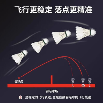 鑫德睿羽毛球耐打王不易打烂专业鹅毛球室外比赛训练防风羽毛球 12只装