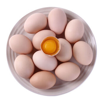 土鸡蛋大码笨鸡蛋现捡蛋乡村散养柴鸡蛋农家正宗新鲜鸡蛋40枚2450克