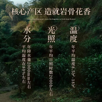 武夷山大红袍中谷茶业乌龙茶岩韵武夷岩茶半岩肉桂一级450g中火盒装自饮茶叶