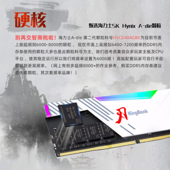 金百达（KINGBANK）64GB(32GBX2)套装 DDR5 6400 台式机内存条海力士A-die颗粒 白刃RGB灯条 C32 Deepseek硬件