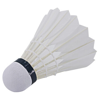 红双喜DHS比赛羽毛球76/77速耐打稳定飞行12只装EG32 