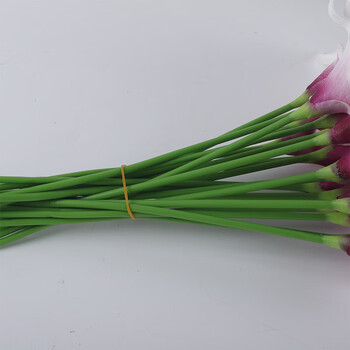 天章办公(TANGO)橡皮筋100g/筒橡皮胶圈橡胶圈牛皮筋银行柜台办公文具用品财务用品弹力耐用不易断裂 天章办公(TANGO)橡皮筋100g/筒橡皮胶圈橡胶圈牛皮筋银行柜台办公文具用品财务用品弹力耐用不易断裂