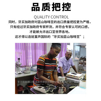 来美咖蓝山咖啡豆牙买加蓝山圆豆咖啡礼盒含250g*2 高贵奢华