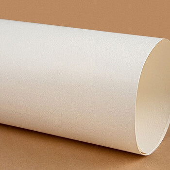 天章(TANGO)4K素描纸110g 绘画纸素描本速写手绘涂鸦彩铅画纸/美术生临摹写生老师学生儿童美术考试用纸20张 天章(TANGO)4K素描纸110g 绘画纸素描本速写手绘涂鸦彩铅画纸/美术生临摹写生老师学生儿童美术考试用纸20张