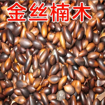 金丝楠种子价格报价行情- 京东