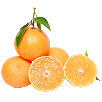 橘子的种类及图片图片