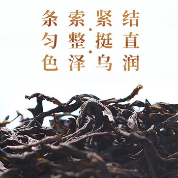 宋凰乌龙茶口粮系列潮州凤凰单丛单枞奇兰香特级100g中火罐装茶叶自饮 宋凰乌龙茶口粮系列潮州凤凰单丛单枞奇兰香特级100g中火罐装茶叶自饮
