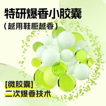 air funk鞋柜除臭剂衣柜香薰鞋子除臭杀菌衣柜除味空气清新80g 雪松鸢尾花 air funk鞋柜除臭剂衣柜香薰鞋子除臭杀菌衣柜除味空气清新80g 雪松鸢尾花