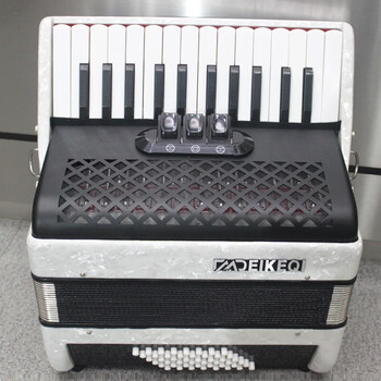 金翱手风琴120/96/60贝司初学手风琴演奏乐器定制款 48贝斯白色