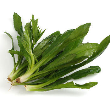 新鲜刺芫荽大香菜刺芹洋鹅芥假芫茜元西缅芜荽泰国越南香菜5斤无根