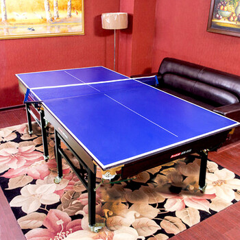 新动力 乒乓球桌面 1.4M球桌儿童可家用小型乒乓球桌面XD-9007不含桌腿 新动力 乒乓球桌面 1.4M球桌儿童可家用小型乒乓球桌面XD-9007不含桌腿