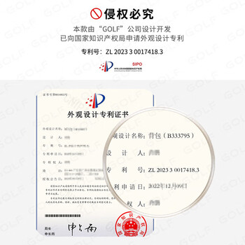 高尔夫（GOLF）双肩包女14/15/16英寸笔记本电脑包商务出差旅行背包书包送女友