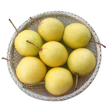 绥中白梨现货新鲜水果正宗绥中大白梨/白梨东北特产甜梨5斤装