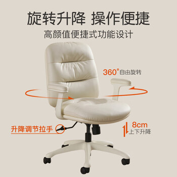 富凯电脑椅家用书房椅轻奢学习椅子人体工学办公椅升降转椅B2315 富凯电脑椅家用书房椅轻奢学习椅子人体工学办公椅升降转椅B2315